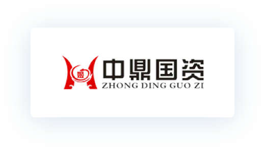 中鼎国资